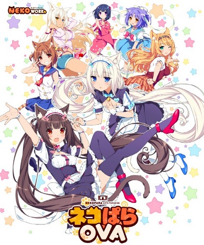 �ɿ�����������